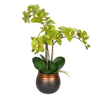 Foto 1 | Spray Para Plantas En Maceta Vickerman Everyday 22 Green Phalaenopsis - Venta Internacional.