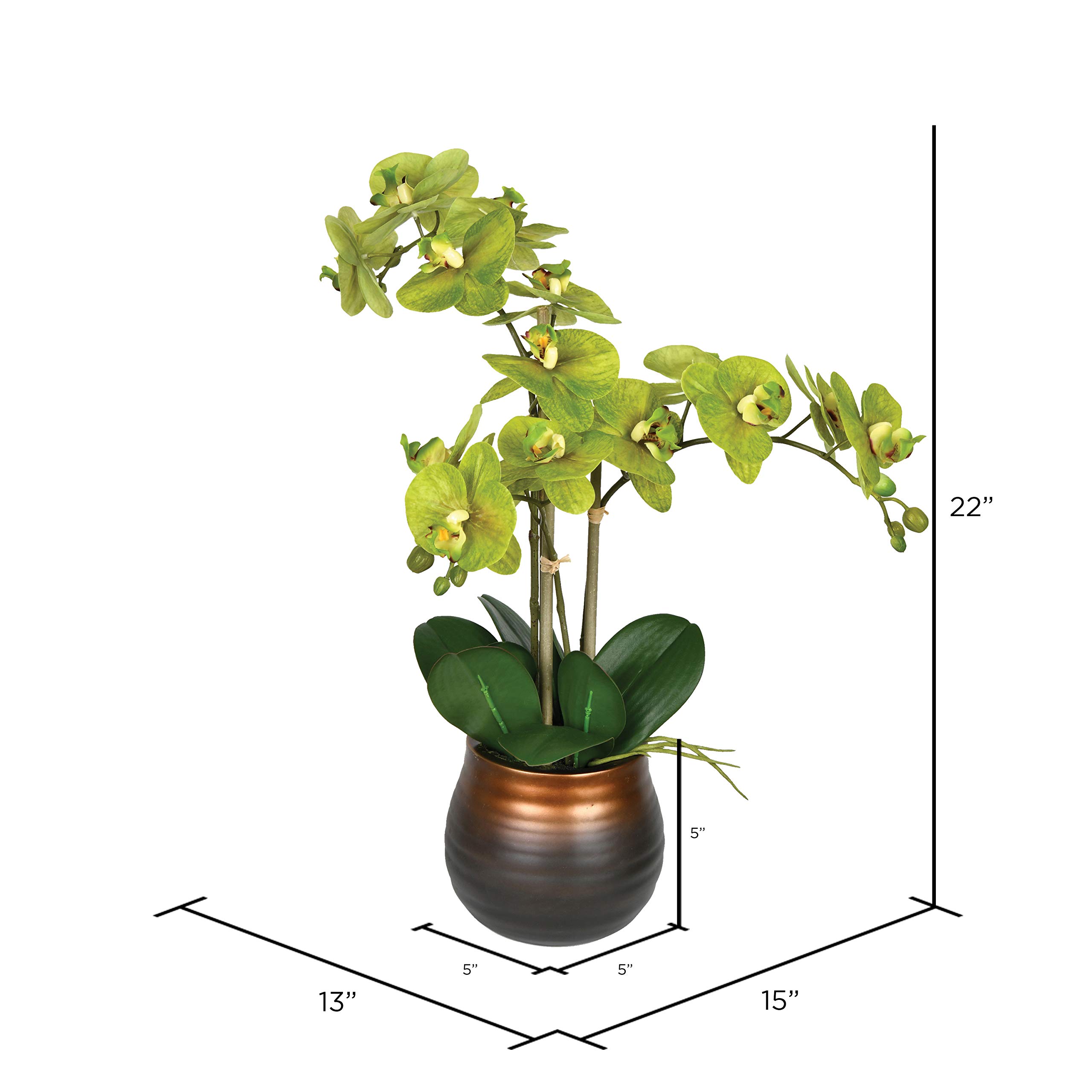 Foto 3 pulgar | Spray Para Plantas En Maceta Vickerman Everyday 22 Green Phalaenopsis - Venta Internacional.