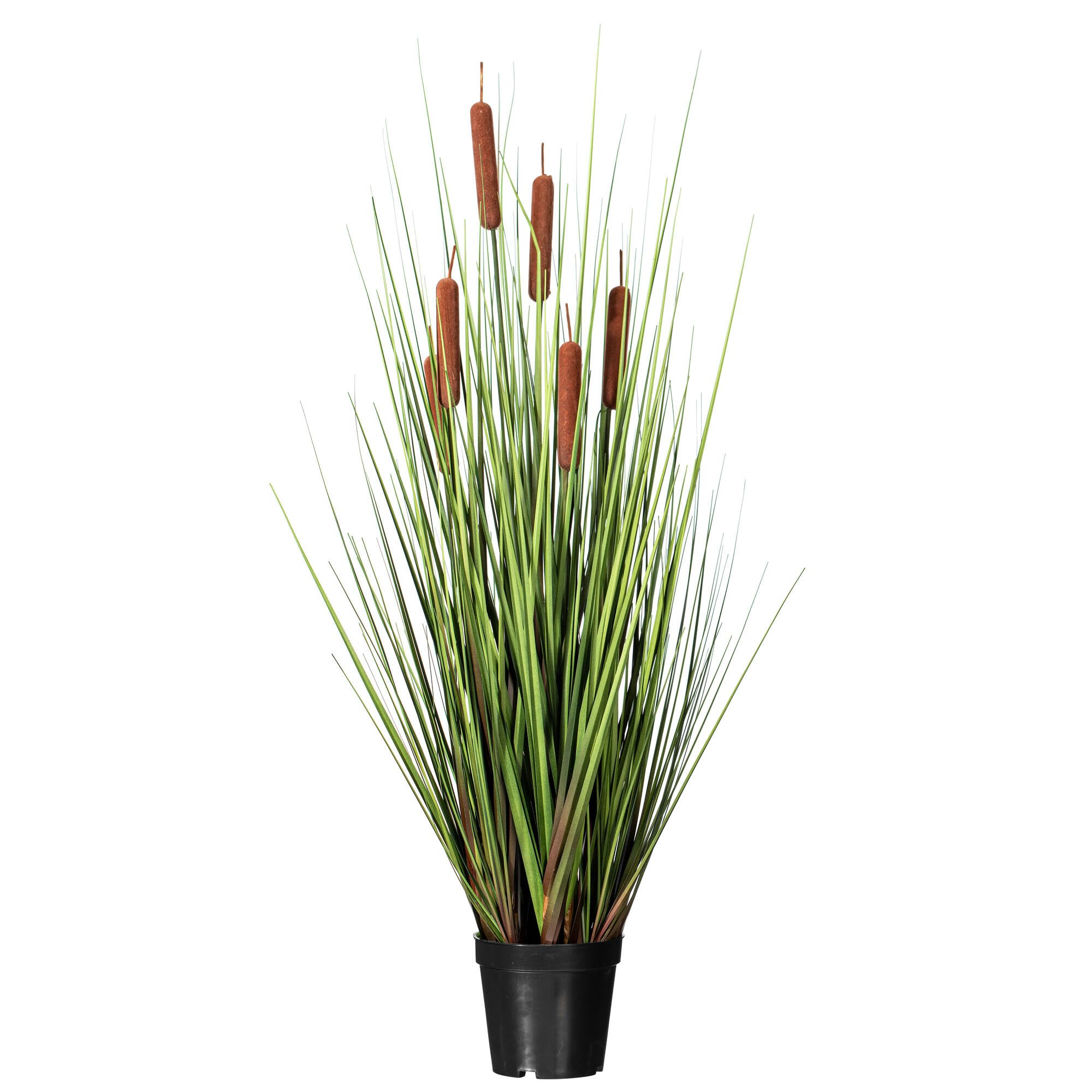 Planta Artificial Vickerman Everyday Green Recta, 36 Cm - Venta Internacional.