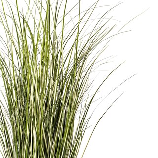 Foto 5 | Planta De Césped Artificial Vickerman Everyday De 37 Pulgadas Con Maceta De Hierro - Venta Internacional.
