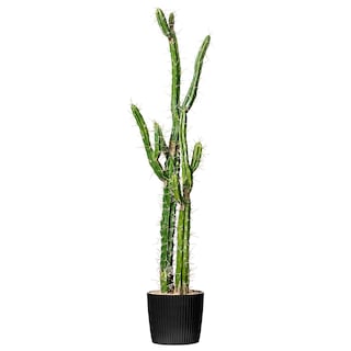 Foto 1 | Cactus Artificial Vickerman Everyday 24, Color Verde, 1,17 M, Con Maceta - Venta Internacional.