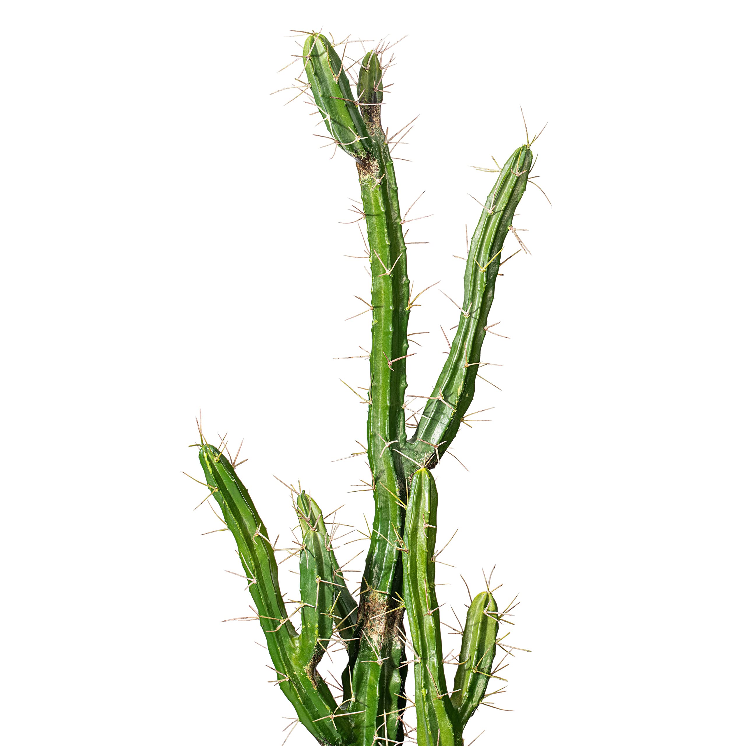 Foto 4 pulgar | Cactus Artificial Vickerman Everyday 24, Color Verde, 1,17 M, Con Maceta - Venta Internacional.