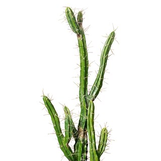 Foto 3 | Cactus Artificial Vickerman Everyday 24, Color Verde, 1,17 M, Con Maceta - Venta Internacional.