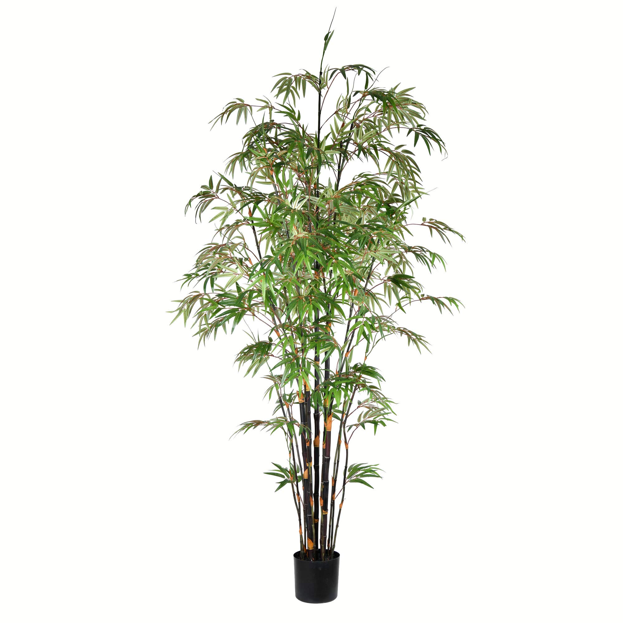 Foto 2 pulgar | Árbol De Bambú Japonés Negro Artificial Vickerman En Maceta De 8 Pies - Venta Internacional.