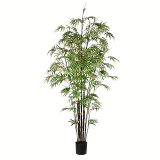 Foto 1 | Árbol De Bambú Japonés Negro Artificial Vickerman En Maceta De 8 Pies - Venta Internacional.