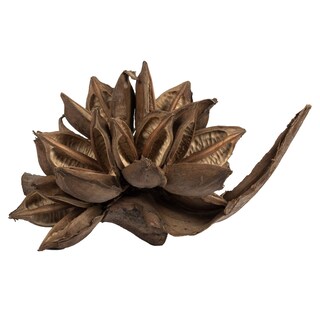 Foto 3 | Vickerman, Planta Sintética Decorativa, Forma De Estrella Natural, De 6 A 11 Cm - Venta Internacional.