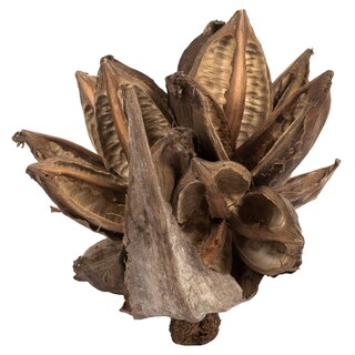 Foto 4 | Vickerman, Planta Sintética Decorativa, Forma De Estrella Natural, De 6 A 11 Cm - Venta Internacional.