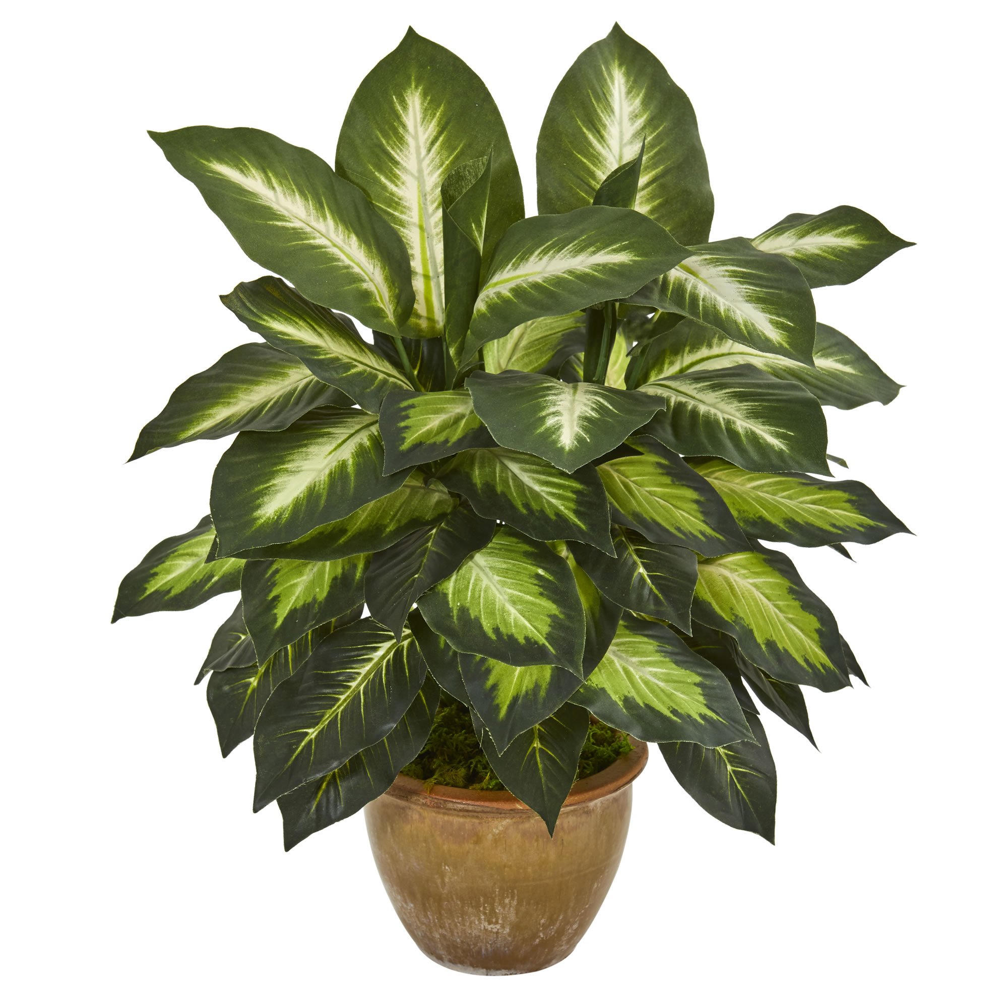 Foto 2 pulgar | Planta Artificial De Dieffenbachia Casi Natural Con Maceta De Cerámica - Venta Internacional.