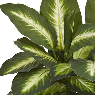 Foto 2 | Planta Artificial De Dieffenbachia Casi Natural Con Maceta De Cerámica - Venta Internacional.