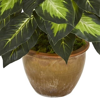 Foto 3 | Planta Artificial De Dieffenbachia Casi Natural Con Maceta De Cerámica - Venta Internacional.