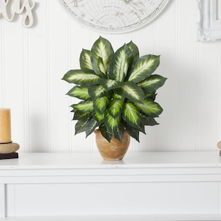 Foto 4 | Planta Artificial De Dieffenbachia Casi Natural Con Maceta De Cerámica - Venta Internacional.