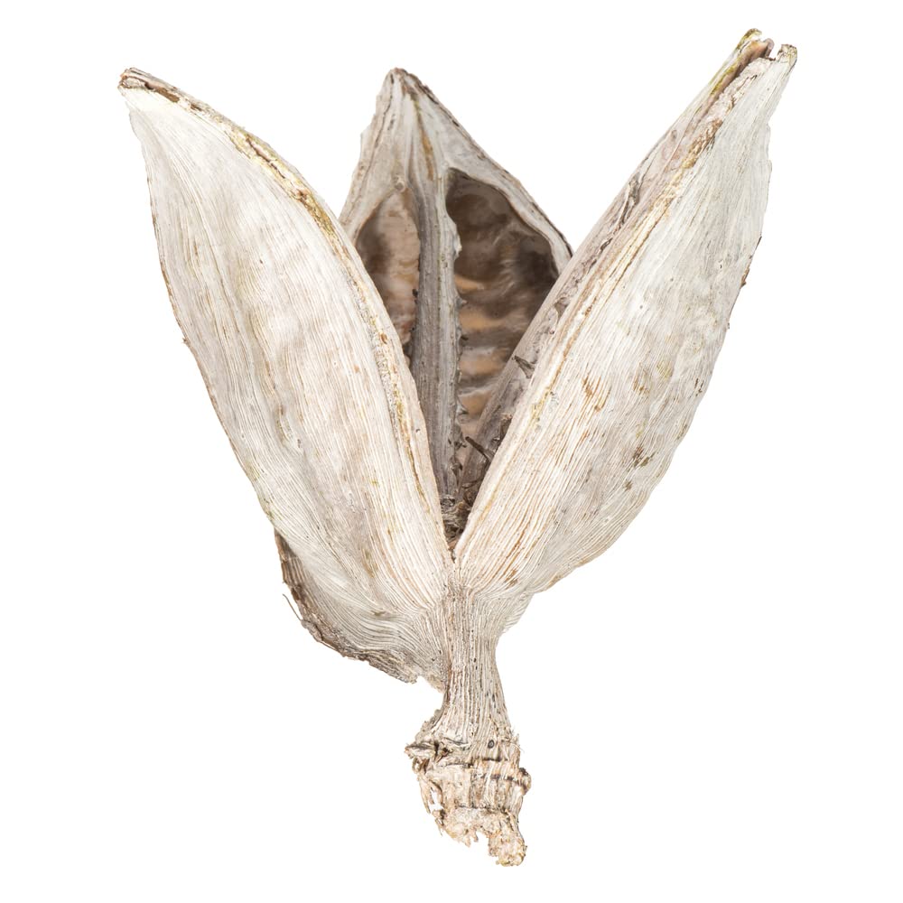 Foto 1 | Cápsulas De Sora Blanqueadas Preservadas Vickerman H2sorb999-1 7.62-10.1 - Venta Internacional.