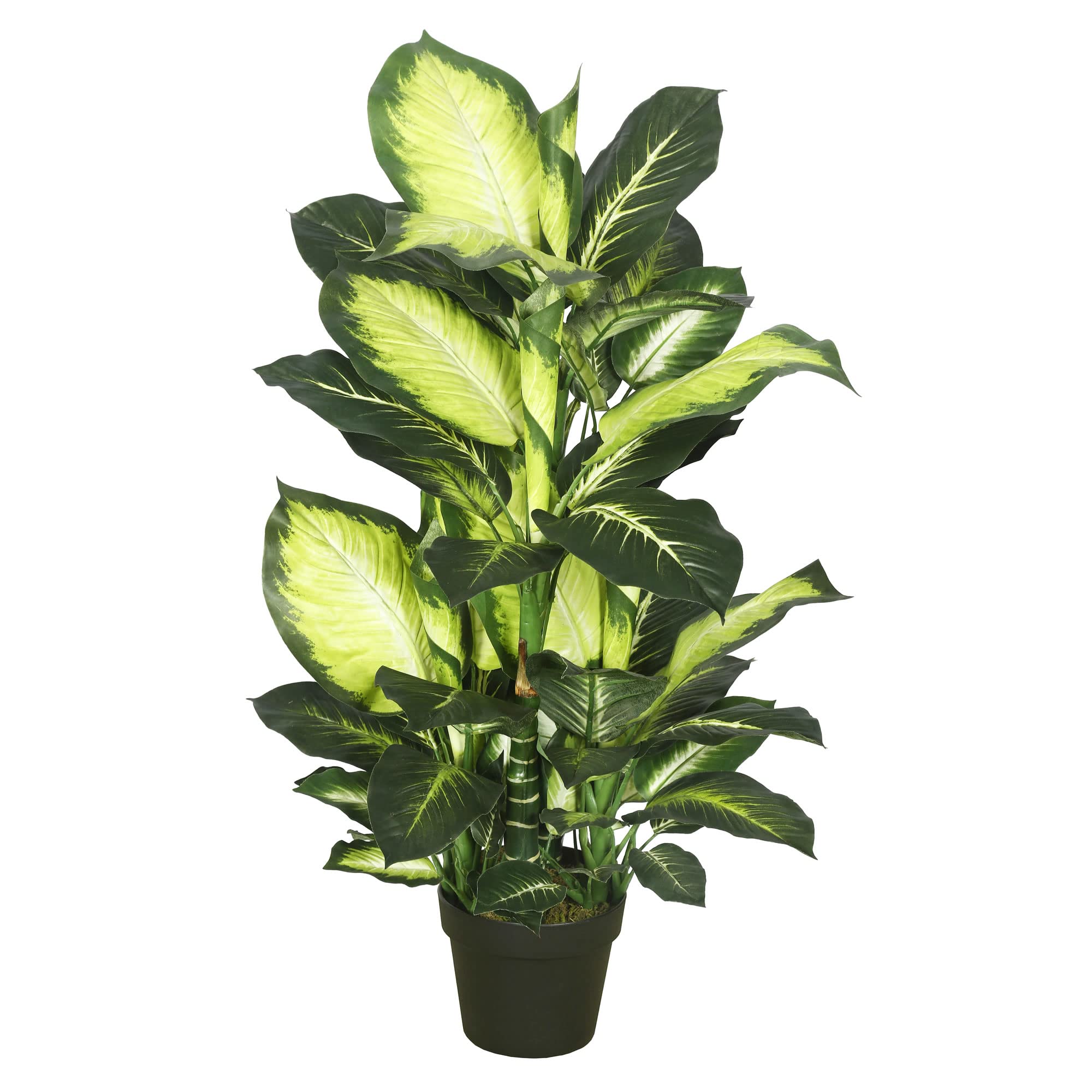 Foto 2 pulgar | Árbol Artificial Vickerman Everyday Dieffenbachia De 40 Cm De Altura - Venta Internacional.