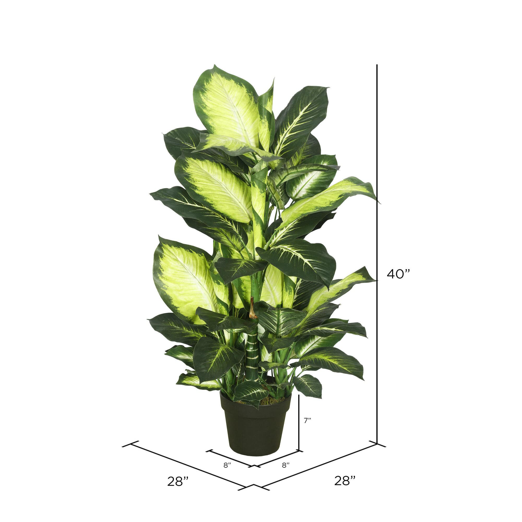 Foto 3 pulgar | Árbol Artificial Vickerman Everyday Dieffenbachia De 40 Cm De Altura - Venta Internacional.