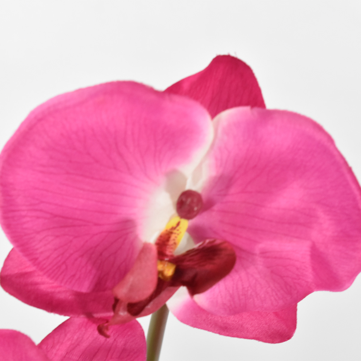 Foto 4 | Orquídea Artificial 42 cm