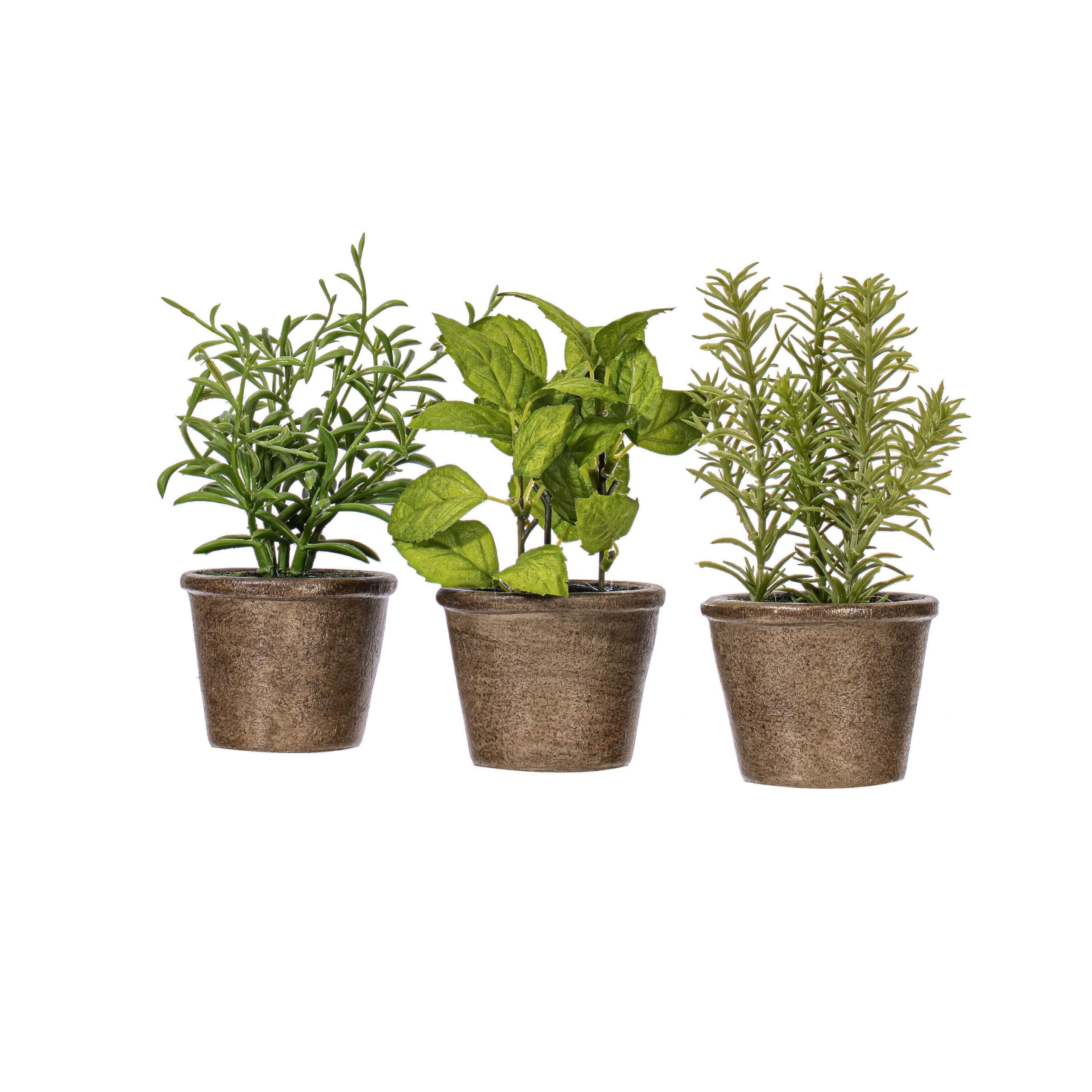 Foto 2 pulgar | Set De Plantas Artificiales En Maceta Verdes Vickerman Everyday 7 - Venta Internacional.