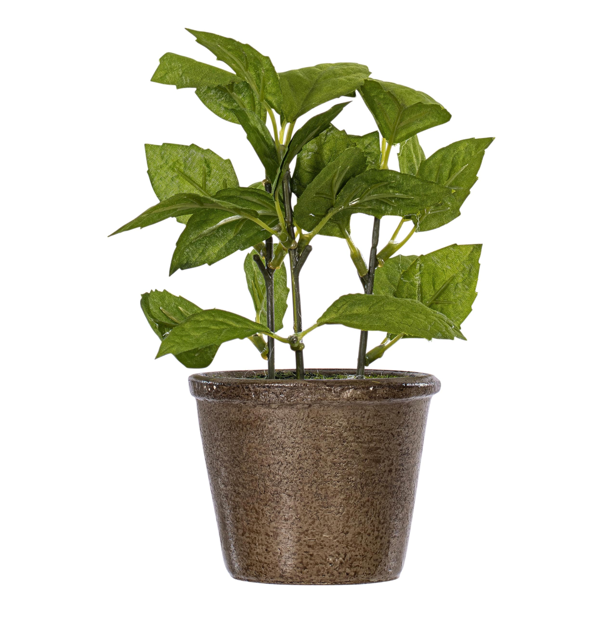 Foto 4 | Set De Plantas Artificiales En Maceta Verdes Vickerman Everyday 7 - Venta Internacional.