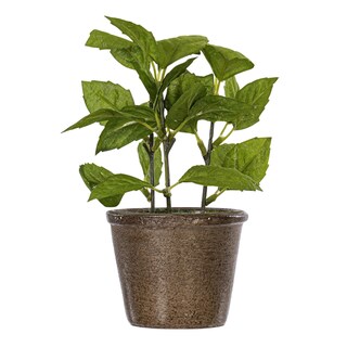 Foto 4 | Set De Plantas Artificiales En Maceta Verdes Vickerman Everyday 7 - Venta Internacional.