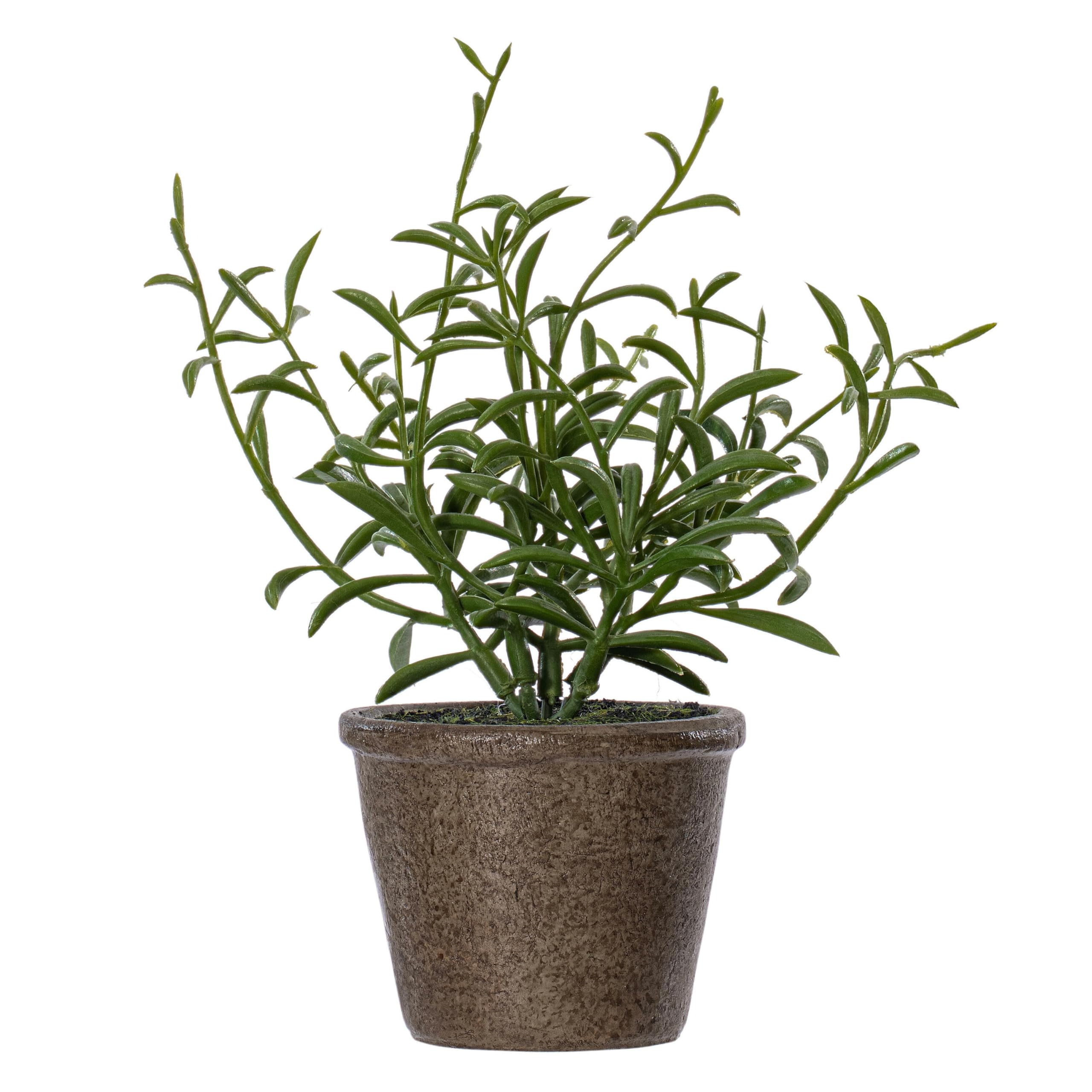 Foto 6 pulgar | Set De Plantas Artificiales En Maceta Verdes Vickerman Everyday 7 - Venta Internacional.