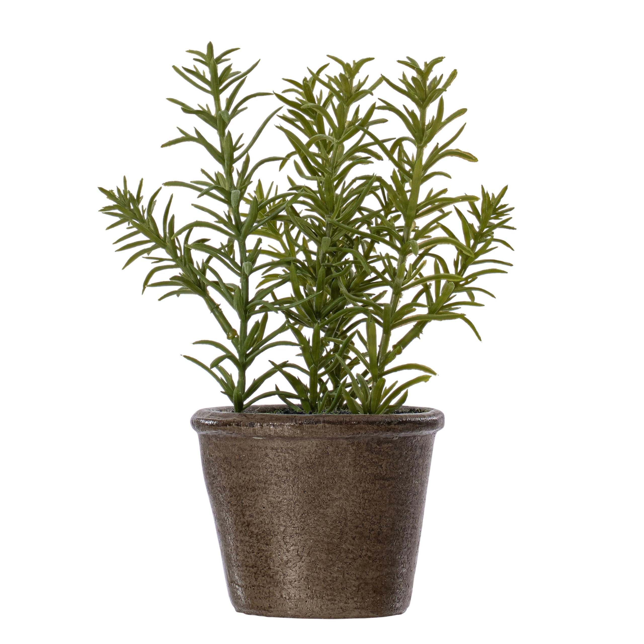 Foto 7 pulgar | Set De Plantas Artificiales En Maceta Verdes Vickerman Everyday 7 - Venta Internacional.
