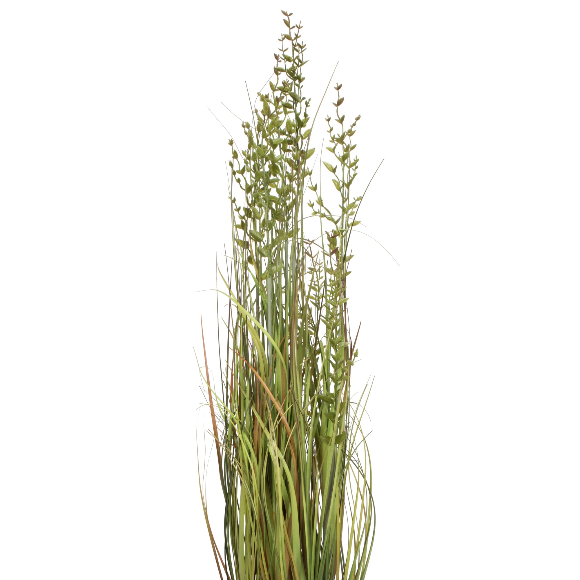Foto 2 | Planta De Césped Artificial Vickerman Everyday 36 Verde/marrón - Venta Internacional.