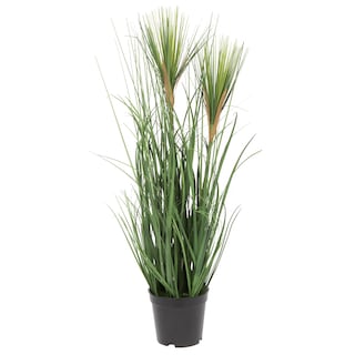 Foto 1 | Hierba Artificial Verde Cepillada Vickerman Everyday 24 - Venta Internacional.