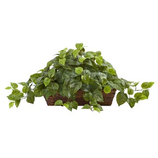 Foto 1 | Planta Pothos Casi Natural Con Cesta Con Repisa De 38 Cm - Venta Internacional.