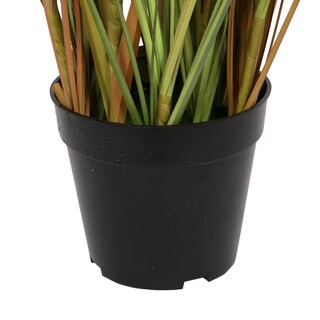 Foto 4 | Planta De Césped Artificial Vickerman Everyday 48 Con Maceta Negra - Venta Internacional.