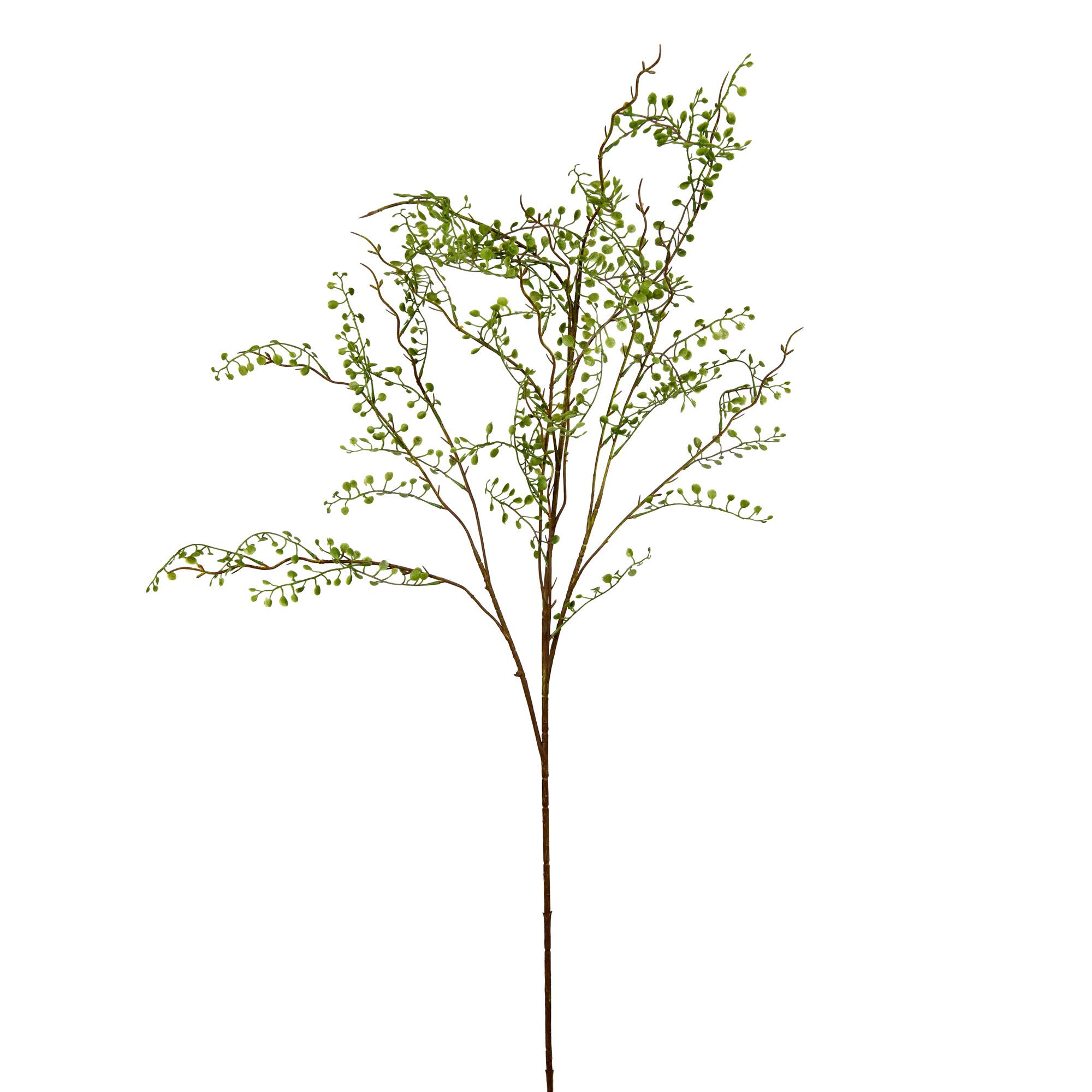 Spray De Hojas Verdes Artificiales Vickerman Everyday, 48 Cm, Paquete De 2 - Venta Internacional.