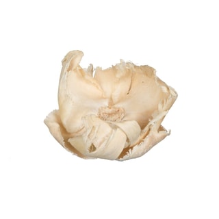 Foto 1 | Gorro De Palma Natural Vickerman De Botanicals, 2,75 A 3,6 Cm, Blanqueado, 25 Unidades - Venta Internacional.