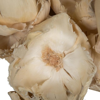 Foto 4 | Gorro De Palma Natural Vickerman De Botanicals, 2,75 A 3,6 Cm, Blanqueado, 25 Unidades - Venta Internacional.
