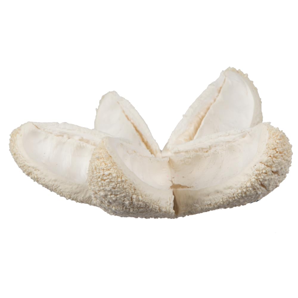 Foto 3 pulgar | Flores Naturales Vickerman De Botanicals, 2 A 3 Balas, Blanqueadas, 50 Unidades - Venta Internacional.