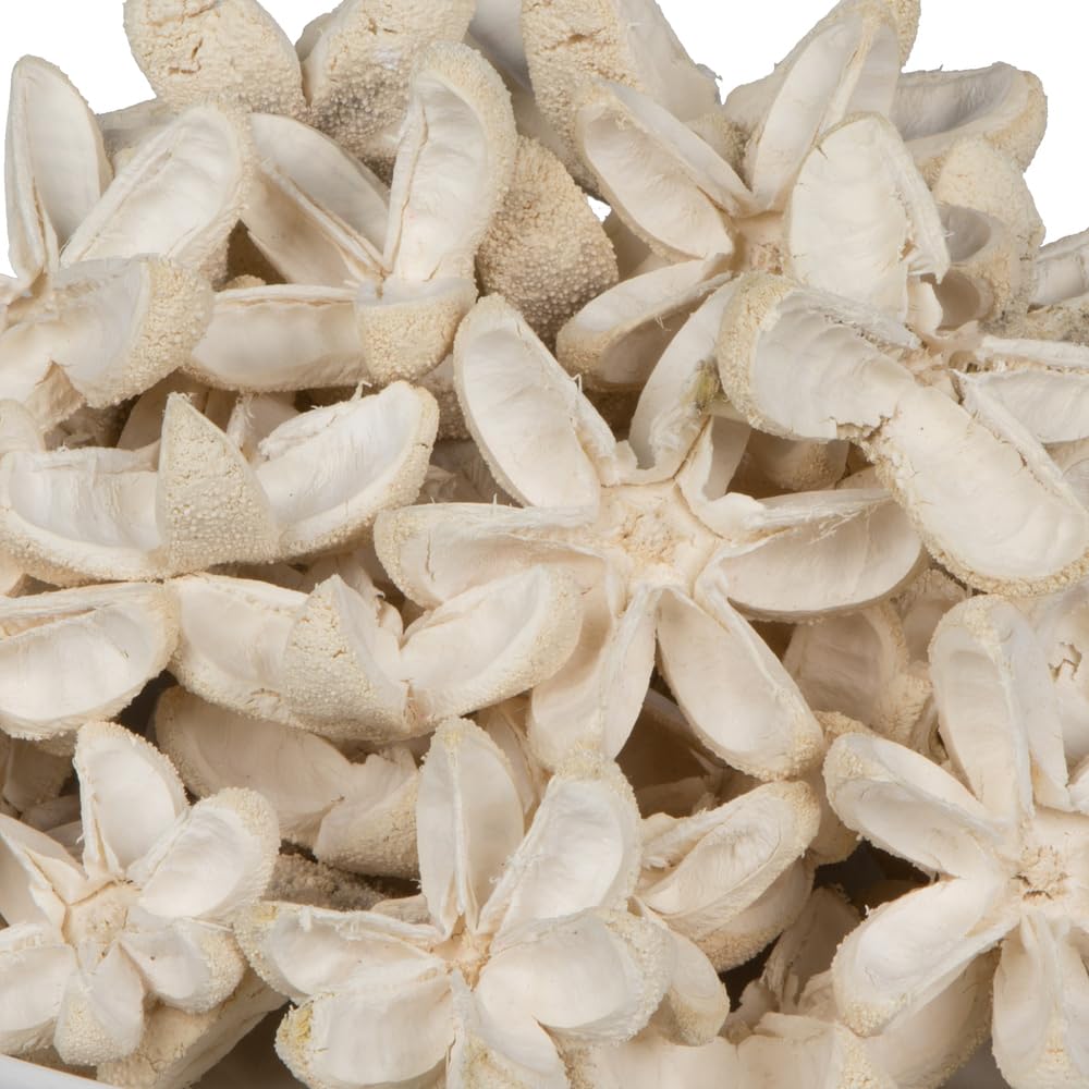 Foto 4 pulgar | Flores Naturales Vickerman De Botanicals, 2 A 3 Balas, Blanqueadas, 50 Unidades - Venta Internacional.