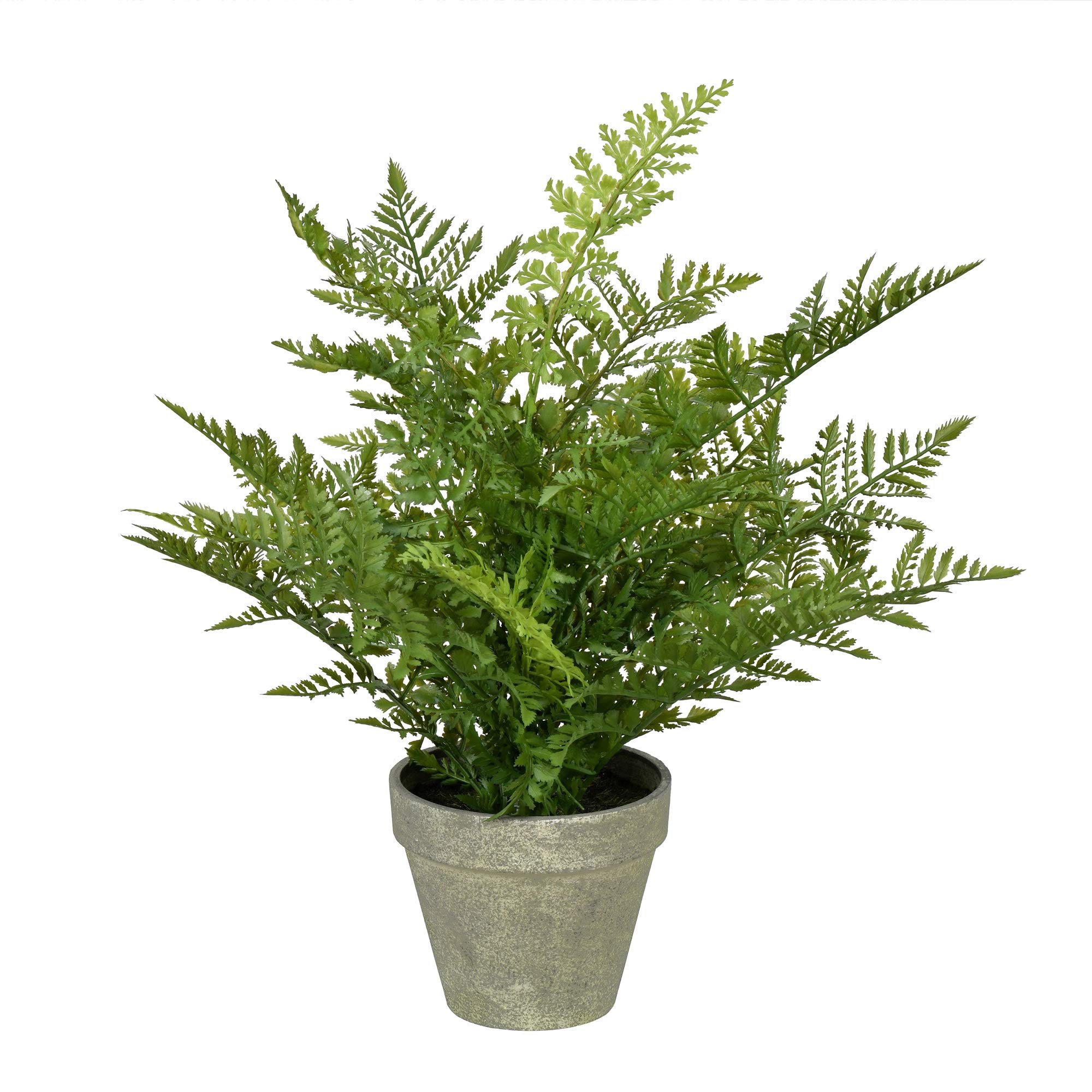 Foto 2 pulgar | Helecho Artificial En Maceta Vickerman 19 Con Papel Gris Envejecido P - Venta Internacional.