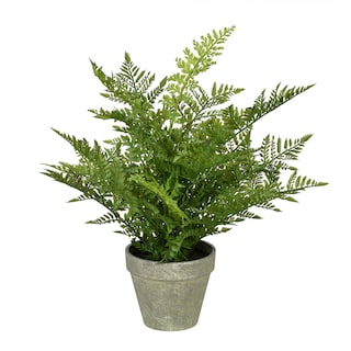 Foto 1 | Helecho Artificial En Maceta Vickerman 19 Con Papel Gris Envejecido P - Venta Internacional.
