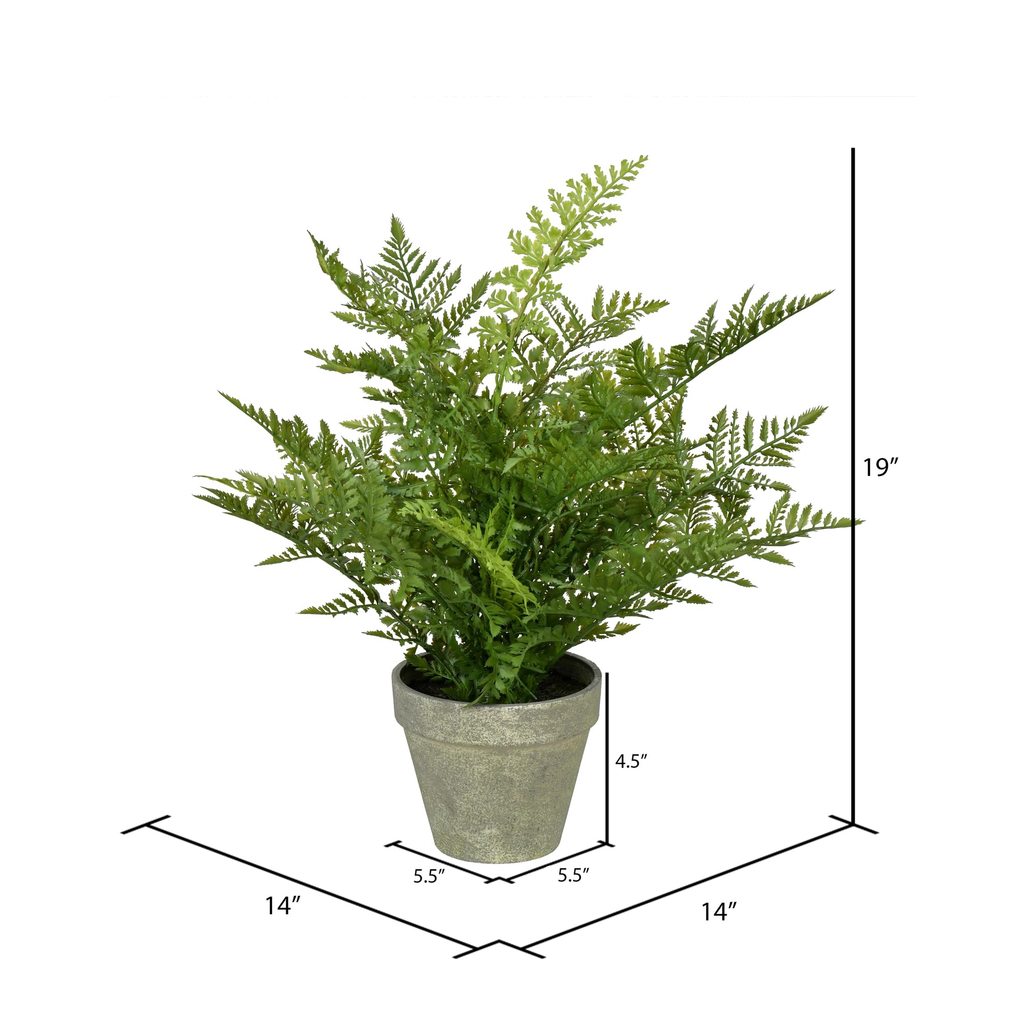 Foto 3 pulgar | Helecho Artificial En Maceta Vickerman 19 Con Papel Gris Envejecido P - Venta Internacional.