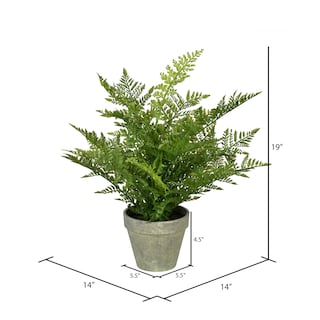 Foto 2 | Helecho Artificial En Maceta Vickerman 19 Con Papel Gris Envejecido P - Venta Internacional.