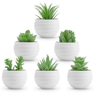 Foto 1 | Suculentas Artificiales con Maceta Der Rose 8 cm 6 Piezas - Venta Internacional