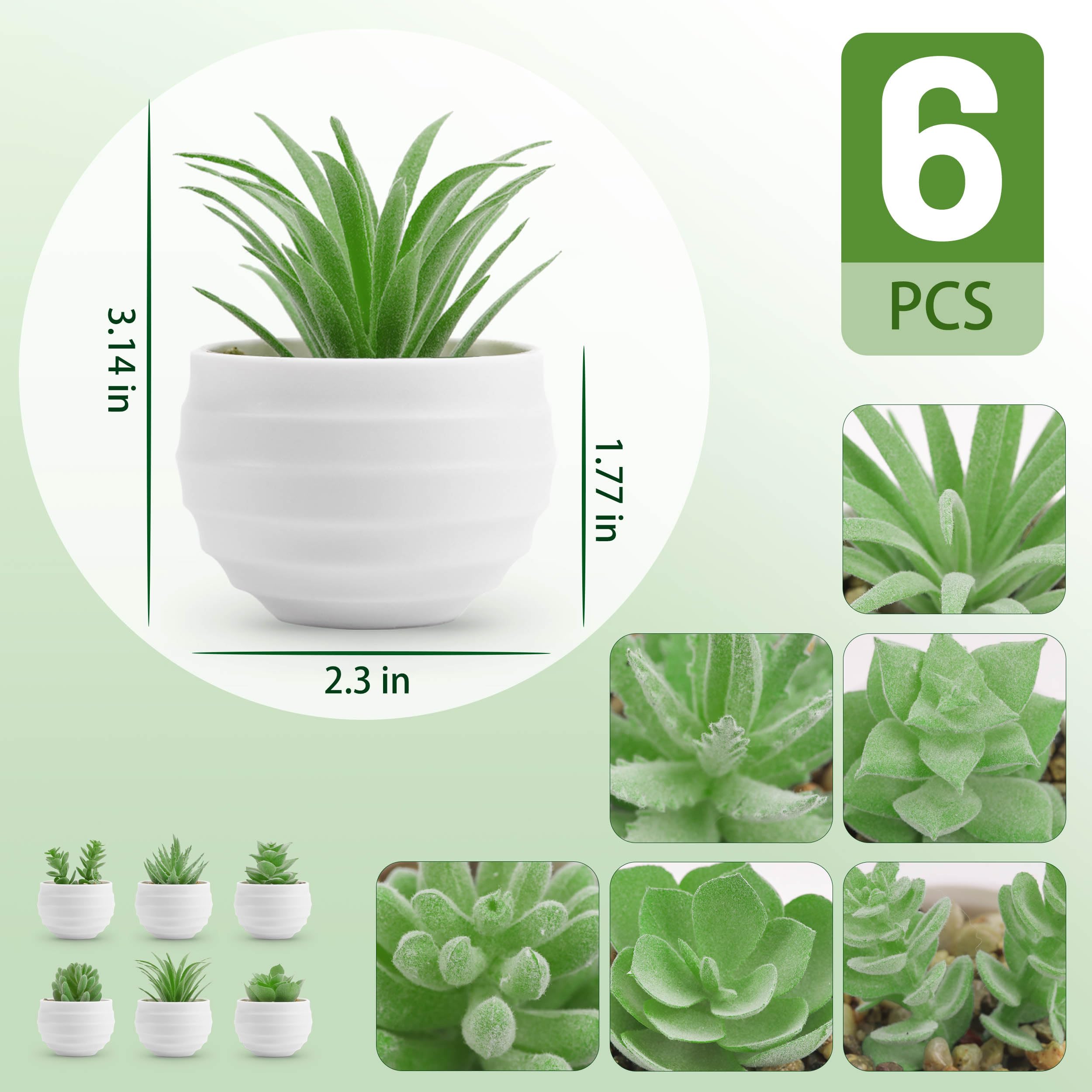 Foto 3 pulgar | Suculentas Artificiales con Maceta Der Rose 8 cm 6 Piezas - Venta Internacional