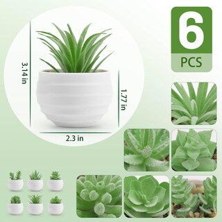 Foto 2 | Suculentas Artificiales con Maceta Der Rose 8 cm 6 Piezas - Venta Internacional