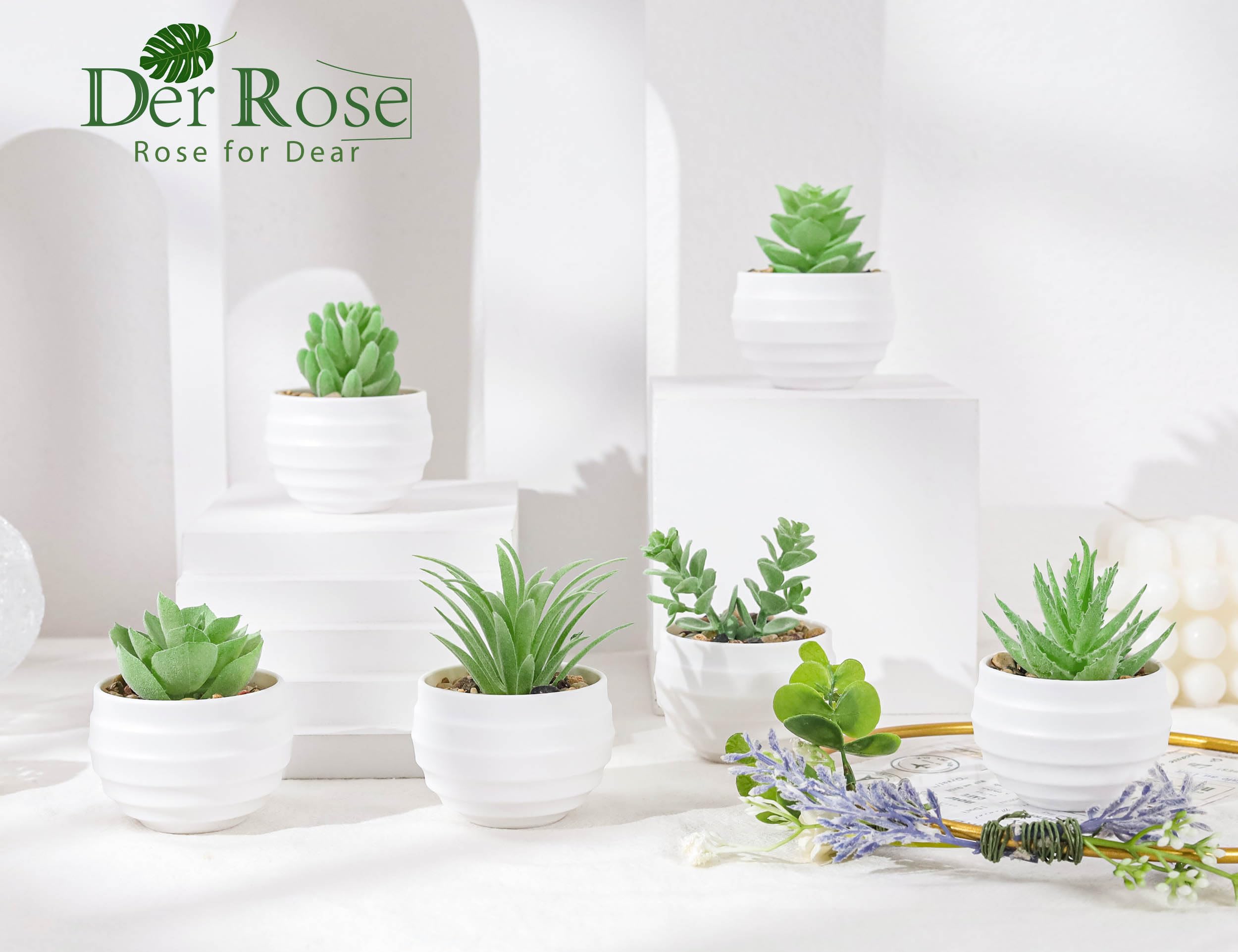Foto 4 pulgar | Suculentas Artificiales con Maceta Der Rose 8 cm 6 Piezas - Venta Internacional