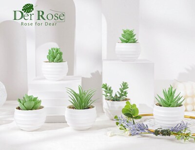 Foto 3 | Suculentas Artificiales con Maceta Der Rose 8 cm 6 Piezas - Venta Internacional