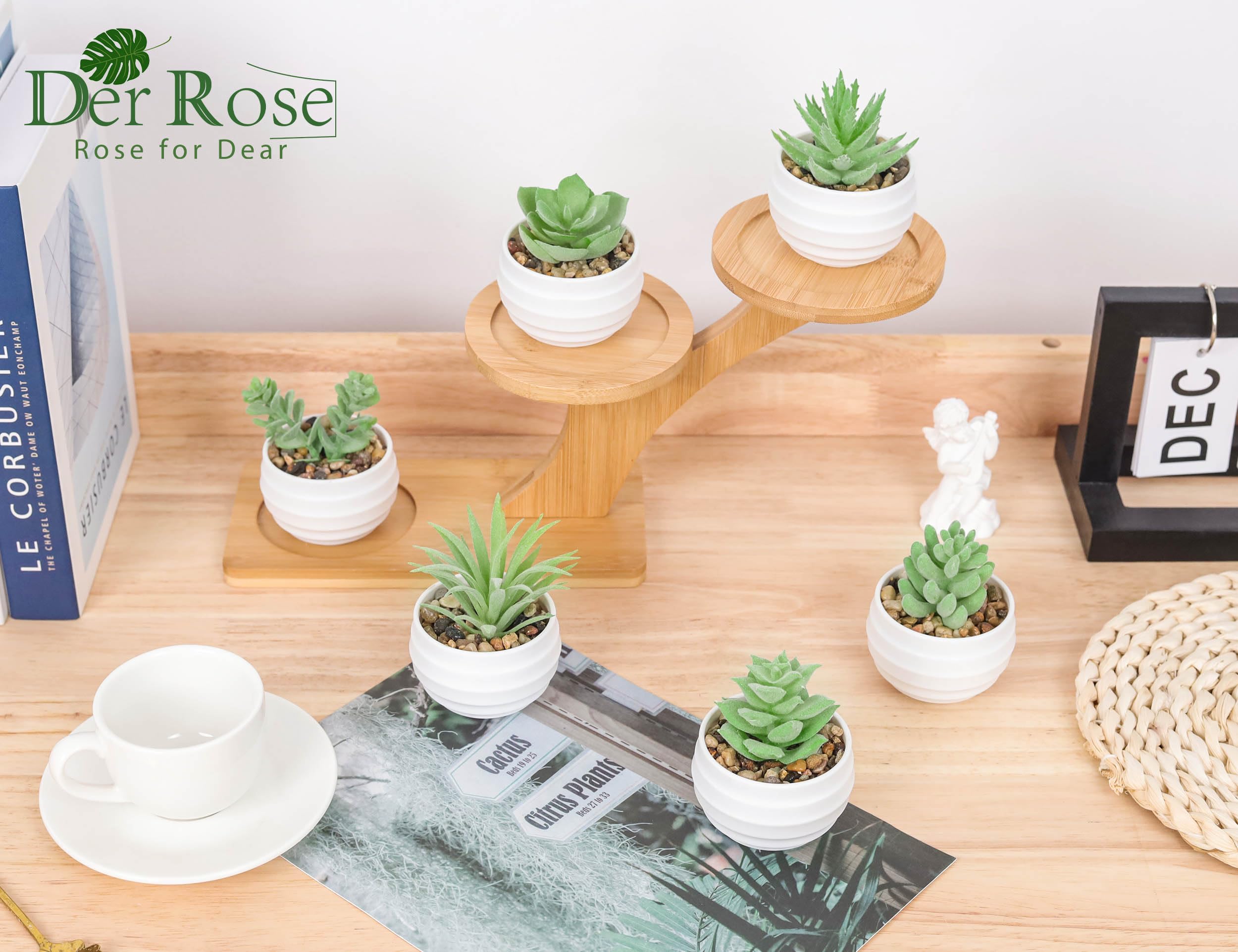 Foto 5 pulgar | Suculentas Artificiales con Maceta Der Rose 8 cm 6 Piezas - Venta Internacional