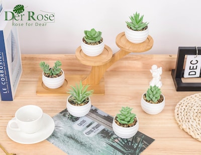 Foto 4 | Suculentas Artificiales con Maceta Der Rose 8 cm 6 Piezas - Venta Internacional