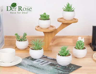 Foto 6 | Suculentas Artificiales con Maceta Der Rose 8 cm 6 Piezas - Venta Internacional