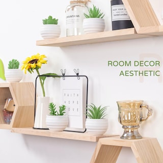 Foto 7 | Suculentas Artificiales con Maceta Der Rose 8 cm 6 Piezas - Venta Internacional