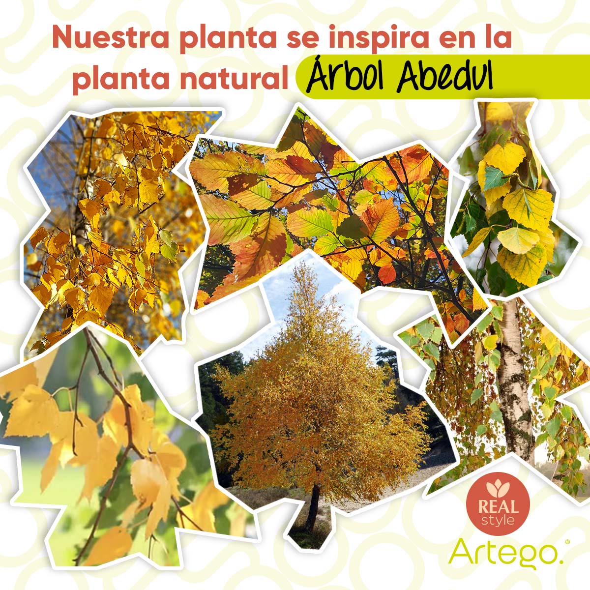 Foto 5 pulgar | Planta Artificial Moderna Con Maceta Decorativa Real Style Arból Ann Arbor Abedul Grande De 180cm De Alto Artego