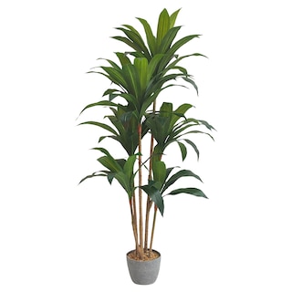 Foto 1 | Planta Artificial Moderna Con Maceta Decorativa Real Style Congo Dracaena Palo De Brasil Grande De 150cm De Alto Artego