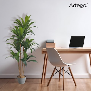 Foto 6 | Planta Artificial Moderna Con Maceta Decorativa Real Style Congo Dracaena Palo De Brasil Grande De 150cm De Alto Artego