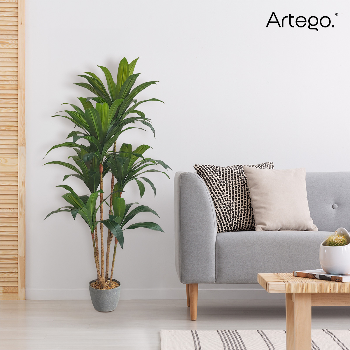 Foto 8 pulgar | Planta Artificial Moderna Con Maceta Decorativa Real Style Congo Dracaena Palo De Brasil Grande De 150cm De Alto Artego